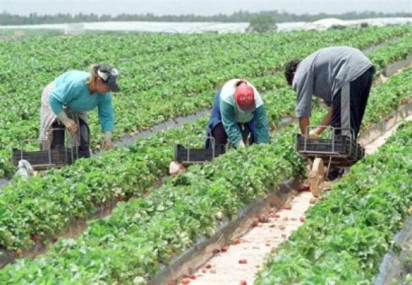 15.000 de noi locuri de muncă pentru agricultori